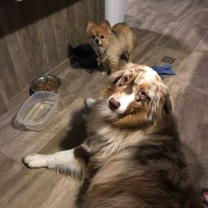 Meet your Posher, Candice j